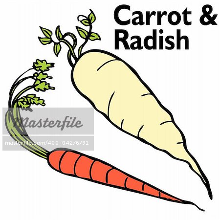 An image of a radish and carrot.