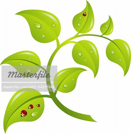 Green branch tree, vector illustration