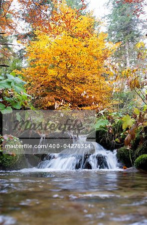 A small stream in the Carpathian Mountains in autumn