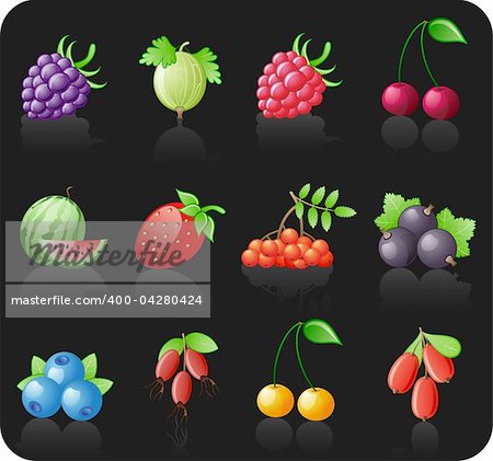 Berries black icon set.