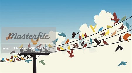 Vector silhouettes of colorful birds roosting on telegraph wires