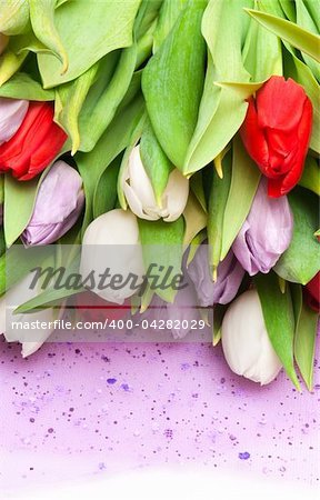 beautiful bouquet of tulips, different colors