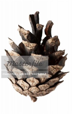 Close-up view of the cone isolated over white background