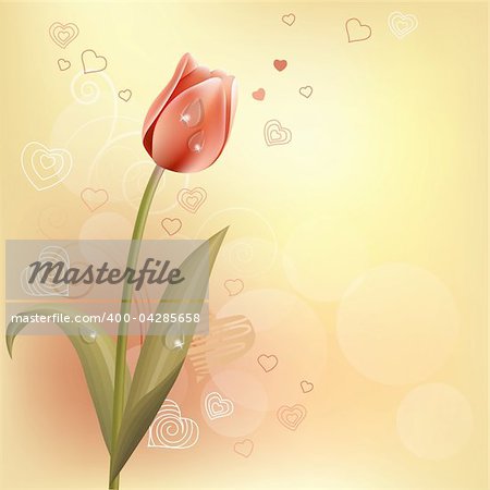 Pastel background with tulip and contour hearts
