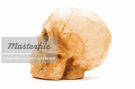 Human skull isolated on the white background