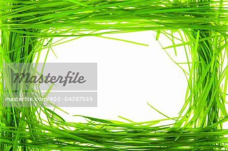 green grass on white background