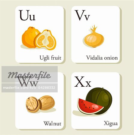 Fruits and vegetables  alphabet cards , illustration, part 6of 7