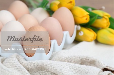 Brown chicken eggs in an egg holder and yellow tulips with catkins. Shallow dof