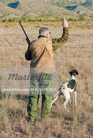 Quail hunter in camouflage clothing walking across the field