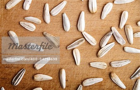 white sunflower seeds