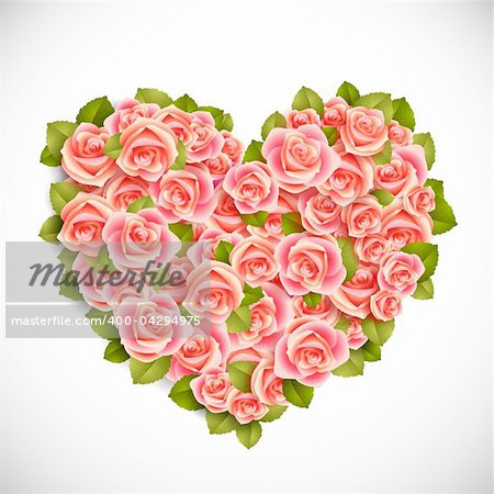 heart of pink roses on white background