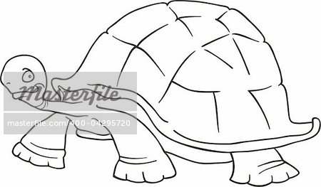 cartoon vector illustration of funny big turtle for coloring book