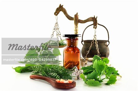fresh herbs and spices on a white background