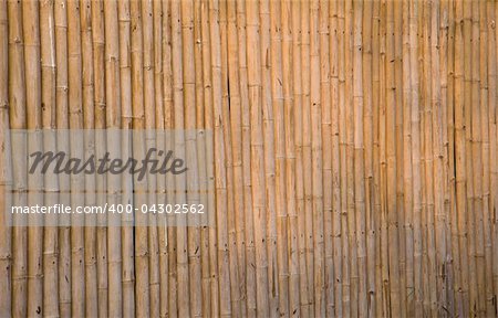 Bamboo wall of the house