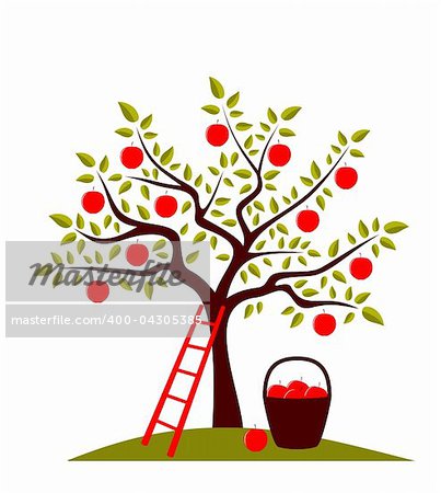 vector apple tree, ladder and basket of apples, Adobe Illustrator 8 format