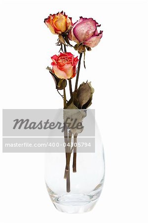 bouquet of dried roses on a white background