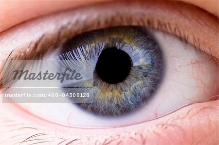 Closeup of an eye with great details shown in the cornea.
