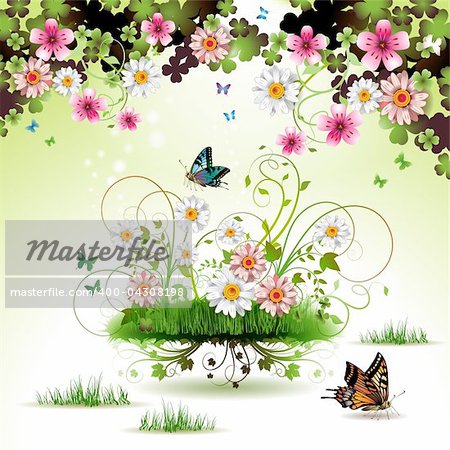 Flowers in the grass and butterflies