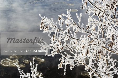 Winter frosted tree branches over misty river
