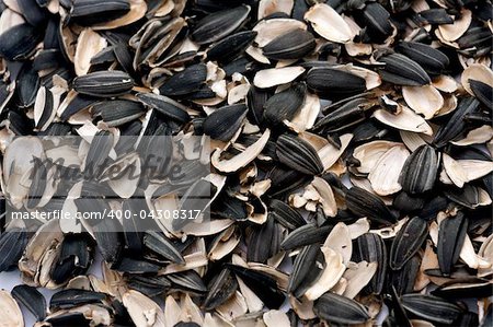shells of sunflower seeds on a white background