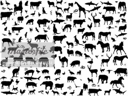 big collection of different animals silhouette - vector