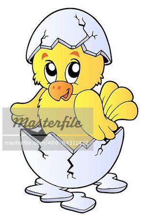 Cute chicken in broken eggshell - vector illustration.