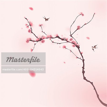 Cherry blossom, with two birds flying towards each other, symbolize love and happiness.  Vectorized brush painting.
