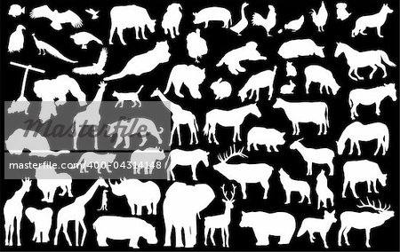 vector illustration of animal silhouettes