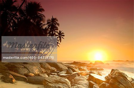 Beautiful colorful sunrise over sea and boulders seen under the palms on Sri Lanka
