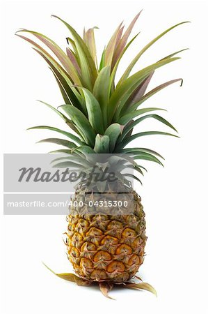 A Fresh Pineapple Isolated on White Background