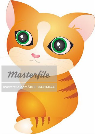 Cat isolated on white background. Vector illustration