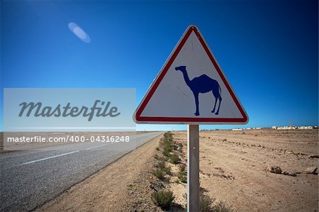 Rare highway warning sign, Western Sahara desert in Morocco.