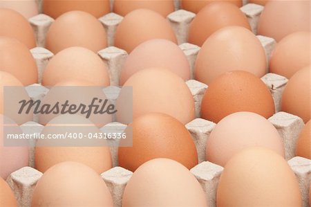 many brown eggs, background