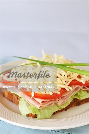 Tasty smoked ham, tomato and mozzarella cheese sandwich on wholewheat bread
