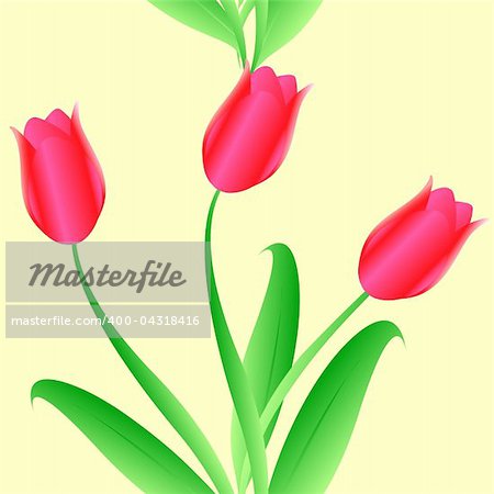 Elegance Seamless color tulips pattern on  background, vector illustration