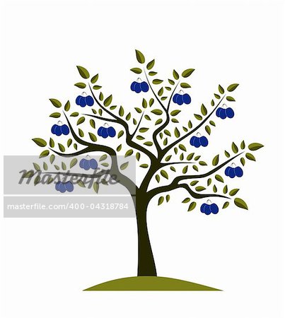 vector plum tree on white background, Adobe Illustrator 8 format