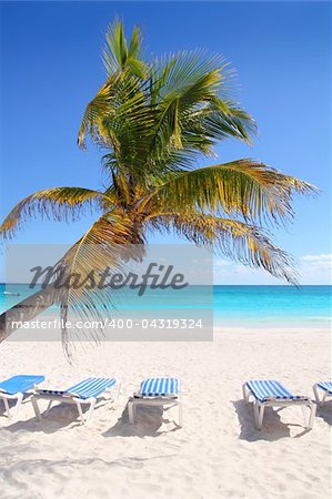 Caribbean coconut palm trees in beautiful  tuquoise sea