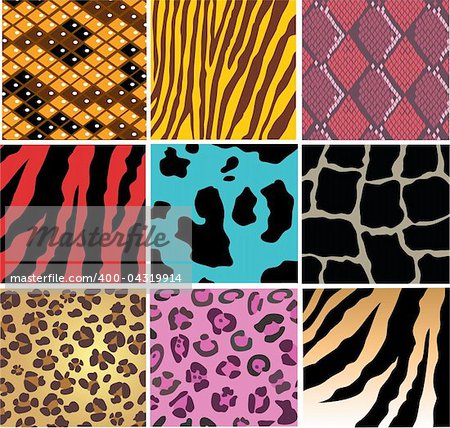 vector illustration of animal skin and snake skin