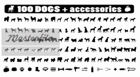 100 dogs icons and Dog accessories,vector pet emblem, dogs staff sign silhouette