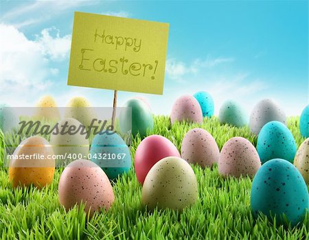 Colorful Easter eggs with sign in a grass field with blue sky