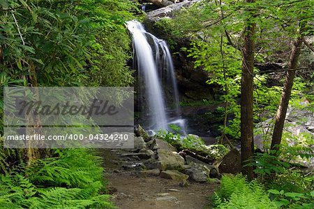Hiking trail leads to secluded Grotto Falls, Great Smokey Mountains National Park