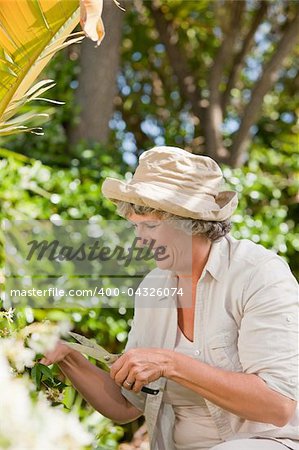 Mature woman working in her garden