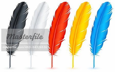 Set of 5 color feathers.