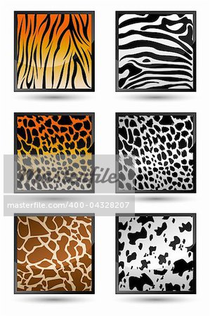 illustration of set of animal skin texture on isolated background