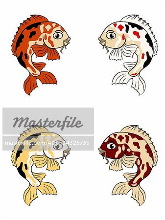 vector koi (carp fishes) in different colors