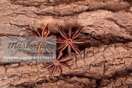 Anise stars on old tree bark close up