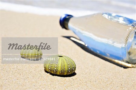 Beach scene with two dead sea urchin shells and a bottle of water