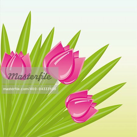 colorful bunch of tulips background