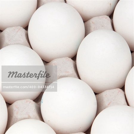 white eggs, background