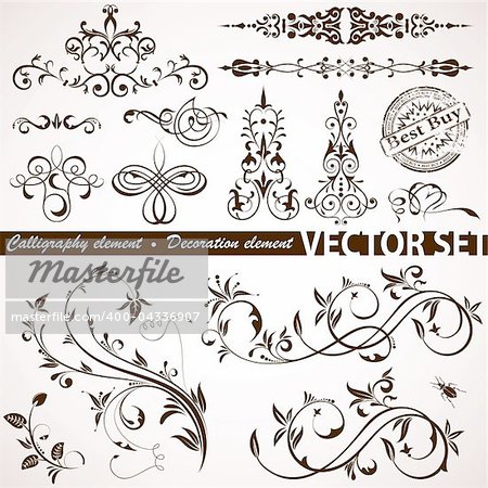 Collect Calligraphic and Floral element for design, vector illustration